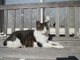 IMG_5739ss.jpg