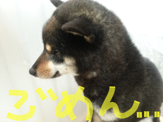 2015-05-04 07.06.24.png
