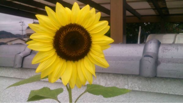 rblog-20140907175724-01.jpg