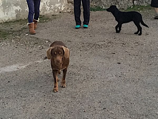 rblog-20180121135659-02.jpg