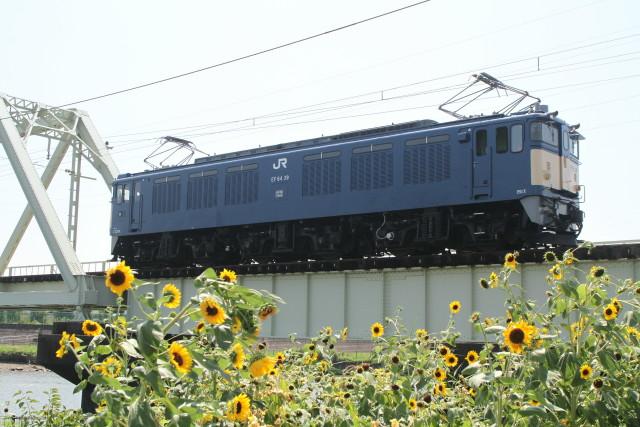 EF64 39 牽引 相模湖 ロングチキ工臨 返却と.ひまわり2