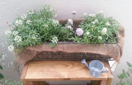 rblog-20140619145852-01.jpg