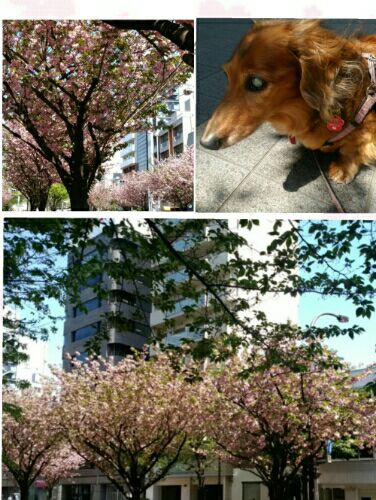 rblog-20160419102811-02.jpg