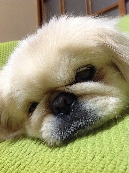 20130221-2.jpg