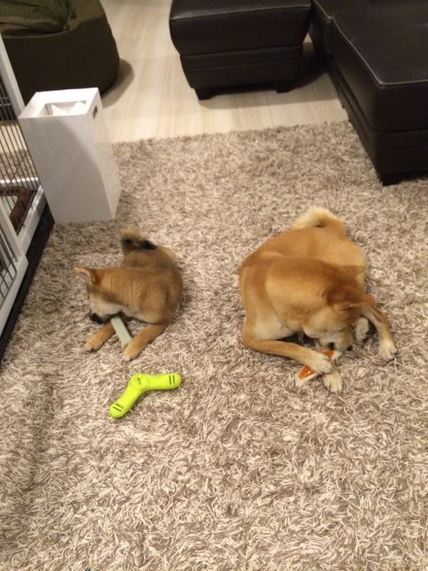rblog-20150727214145-05.jpg