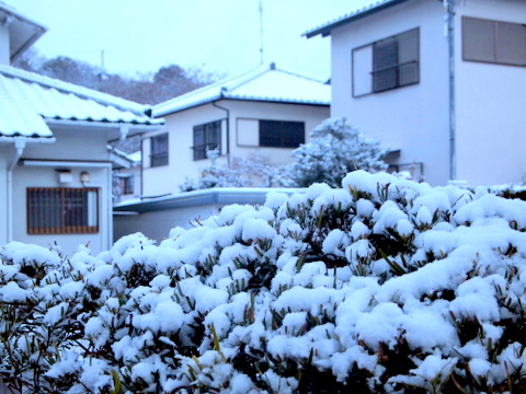 初雪