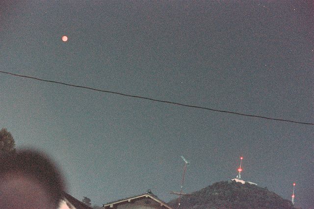 私が撮ったハレー彗星 | 星とカワセミ好きのブログ - 楽天ブログ