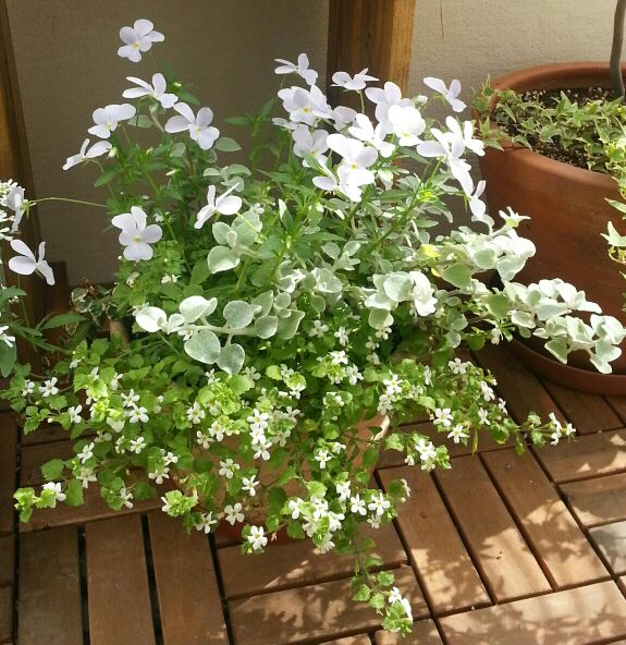 rblog-20140624003626-01.jpg