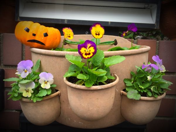rblog-20151029141004-02.jpg