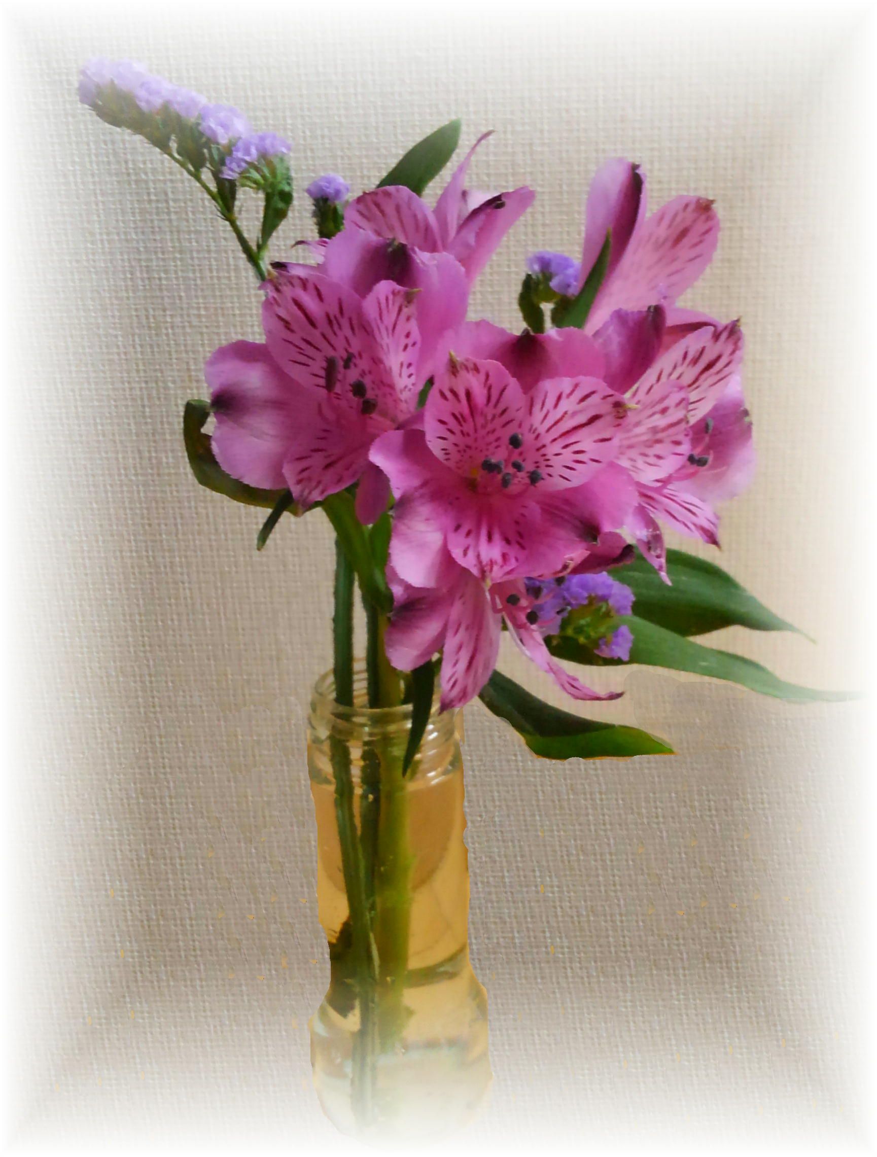 曾野綾子の誕生日に 光散る水際で 60ばーばの手習い帳 楽天ブログ