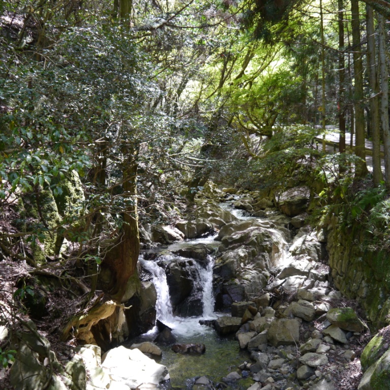 P1060978（夫婦の滝）.jpg