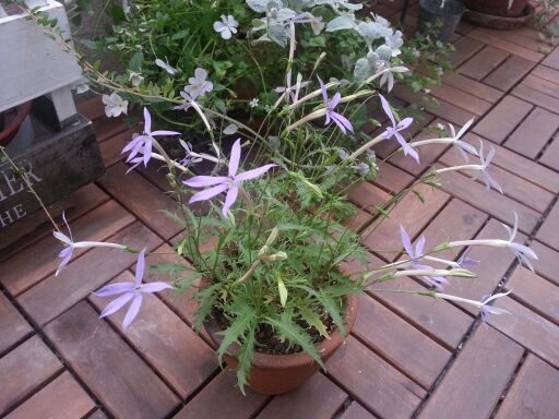 rblog-20140617214223-03.jpg