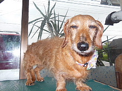 conv0111.JPG