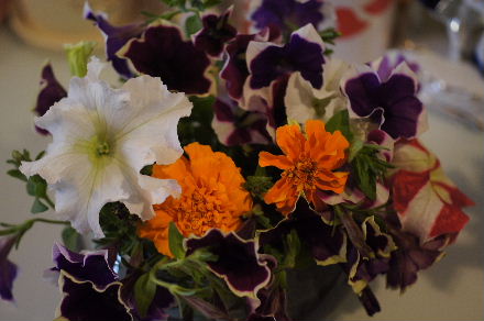 2015_0611切り花0020.JPG
