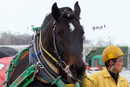 ハヤテショウリキ