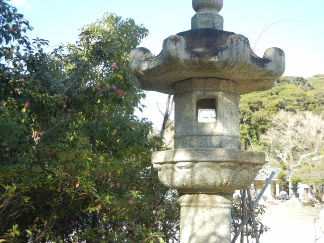 DSCN6730.JPG
