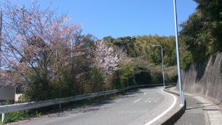 小学校下.jpg