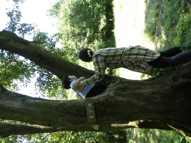 CIMG0687.JPG