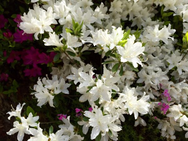 rblog-20160416204812-04.jpg