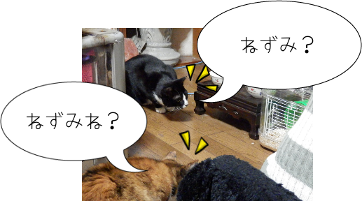 P4110020.png