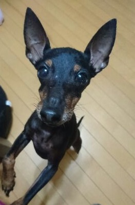 1504714833114.jpg