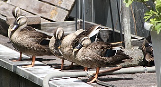 E7D_8437-2.jpg