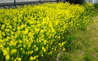 DSC01201.JPG