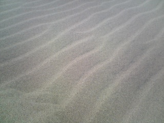 060809_1330~01.jpg