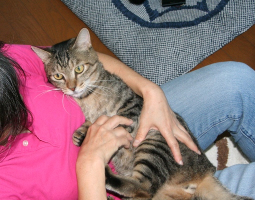 20150912ﾙﾅ02.jpg