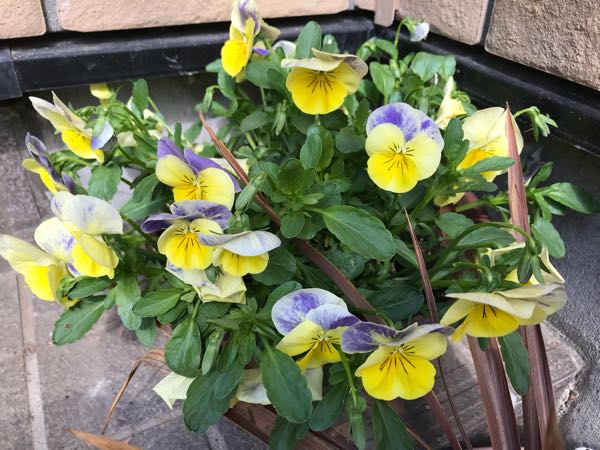 rblog-20180408162109-08.jpg