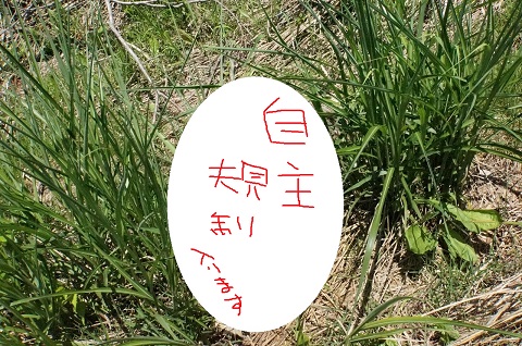 DSC08971.JPG
