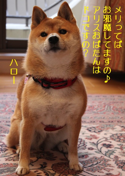 きましたの