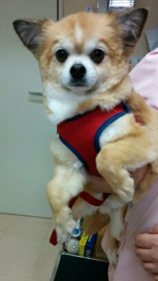 rblog-20141111150636-03.jpg