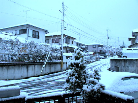 2007.01.07の雪