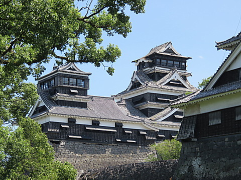 IMG_4784.jpg