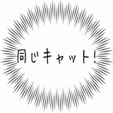 同じキャット！.gif