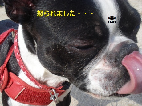 DSC04118.JPG
