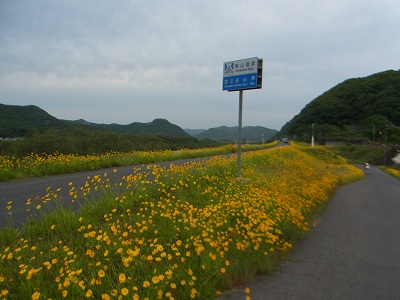 吉井川土手-2