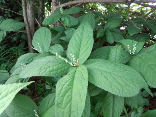 120603_133558.jpg