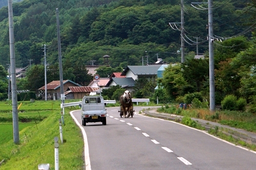 遠野　馬