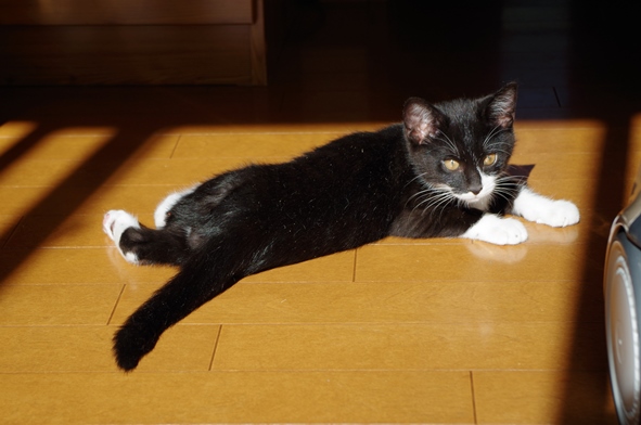 mari_2014111301.JPG