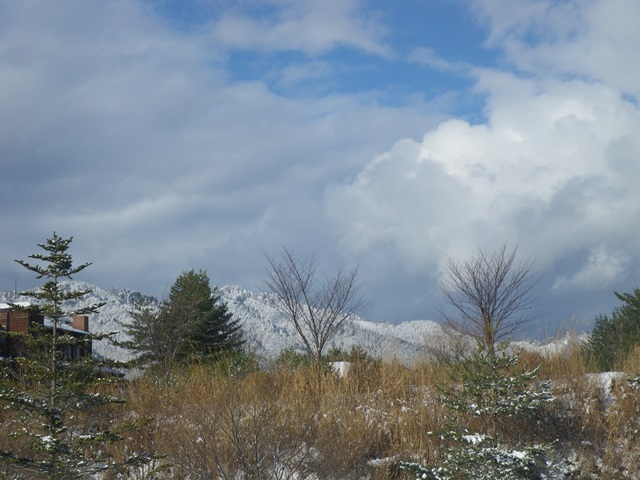 太平山４