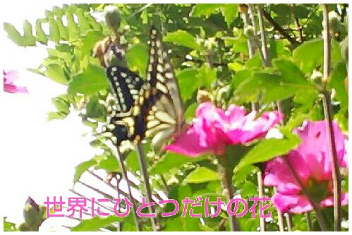 rblog-20160828111109-00.jpg
