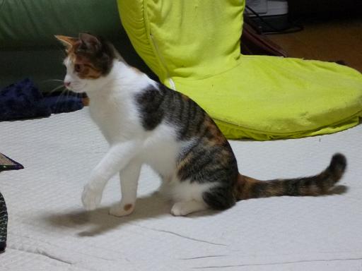 画像 2676.jpg