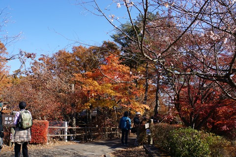DSC07611.JPG