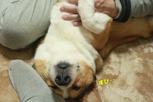 IMG120803.JPG