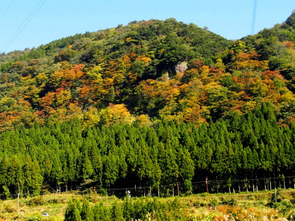 紅葉狩り　10.15　2015　