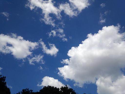IMG_20130903_131908593.jpg