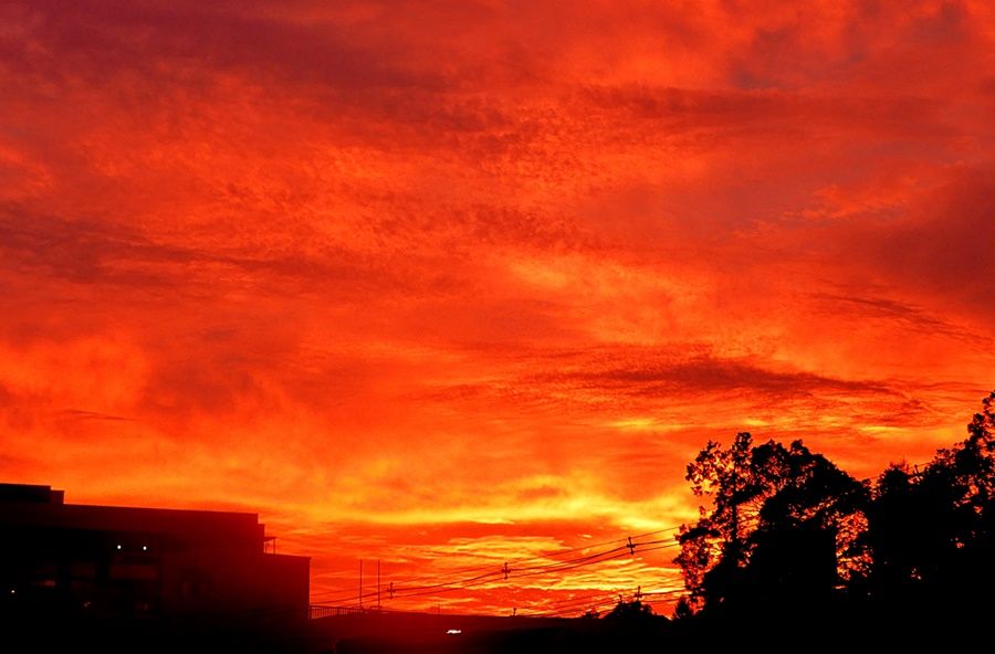 夕暮れ6