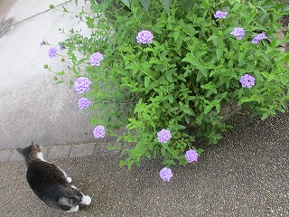 IMG_4545ss.jpg